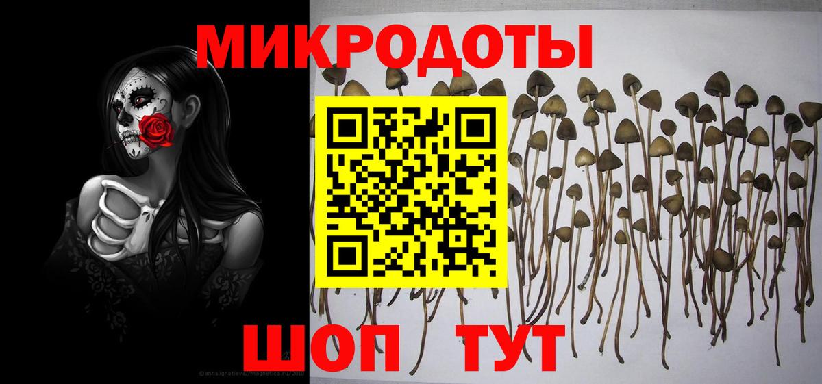 Галлюциногенные грибы GOLDEN TEACHER Приморско-Ахтарск