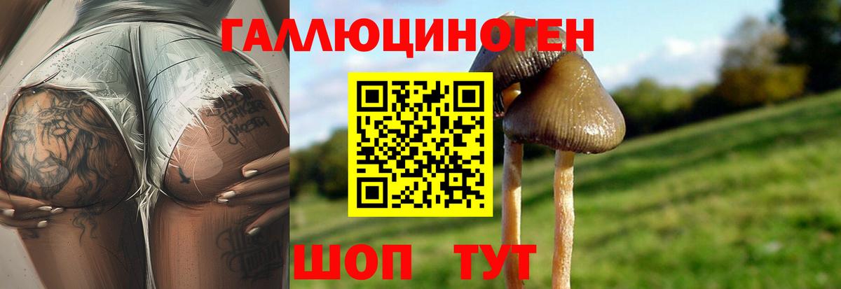 Галлюциногенные грибы GOLDEN TEACHER  Псилоцибиновые грибы прущие грибы  Приморско-Ахтарск  Вход с VPN 